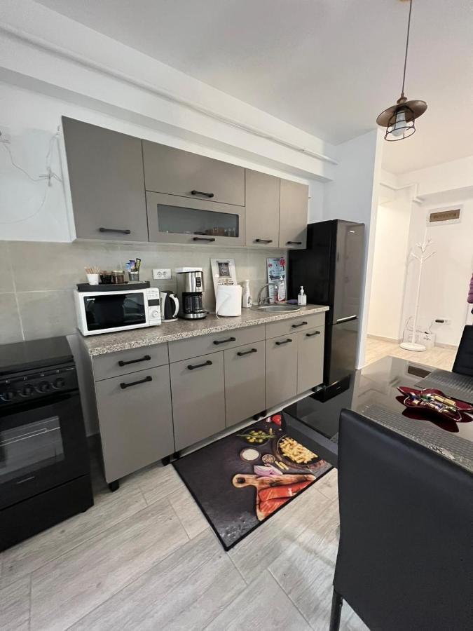 Apartament de lux intr-o zona rezidentiala linistita Iasi Extérieur photo